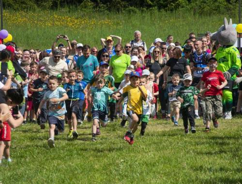 beh-2026-2-020_original